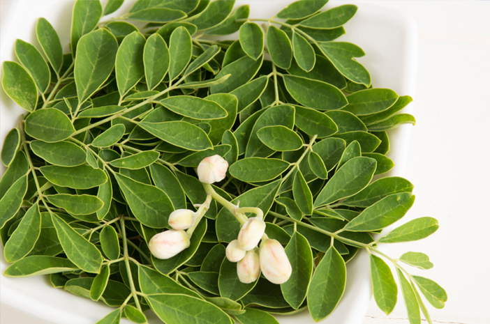 6 Beneficii ale frunzelor de Moringa pentru sănătate