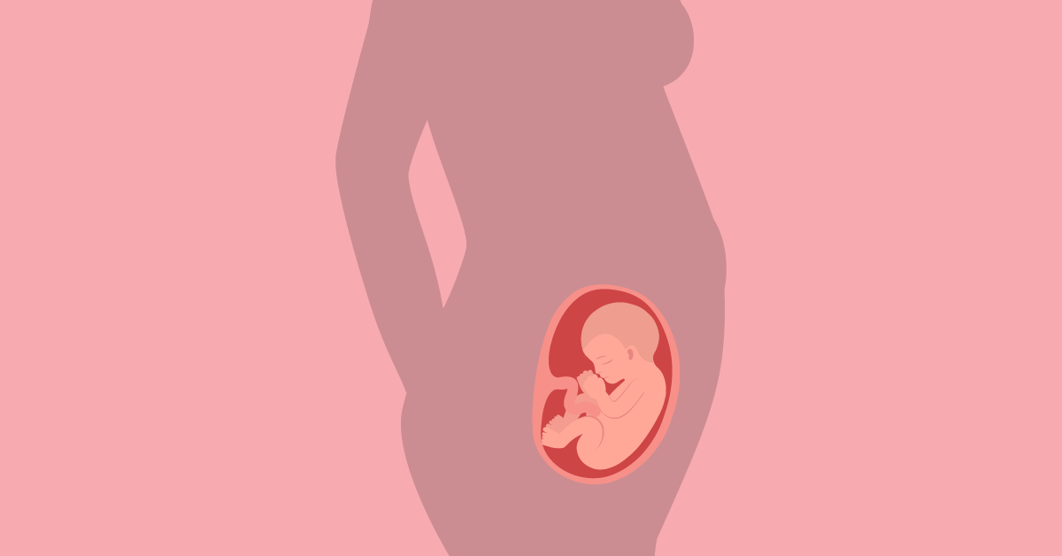 Ovako se razvija fetus u 23. tjednu