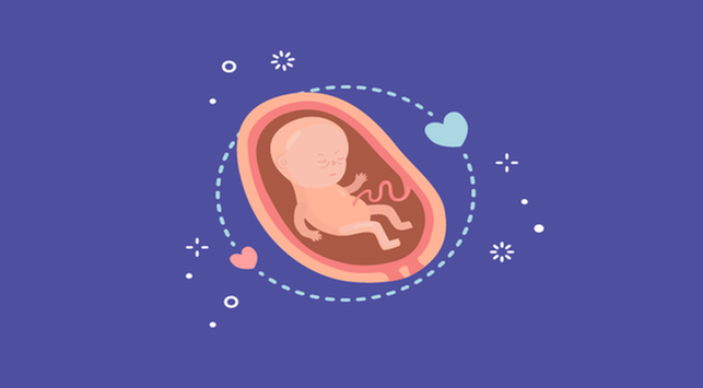 A placenta rendellenességek 3 típusa és azok leküzdése
