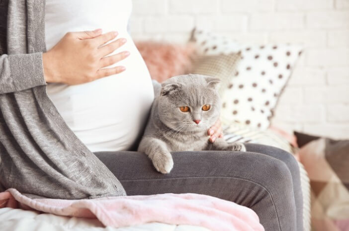 Cuidado, este es el peligro del pelo de gato para las mujeres embarazadas.