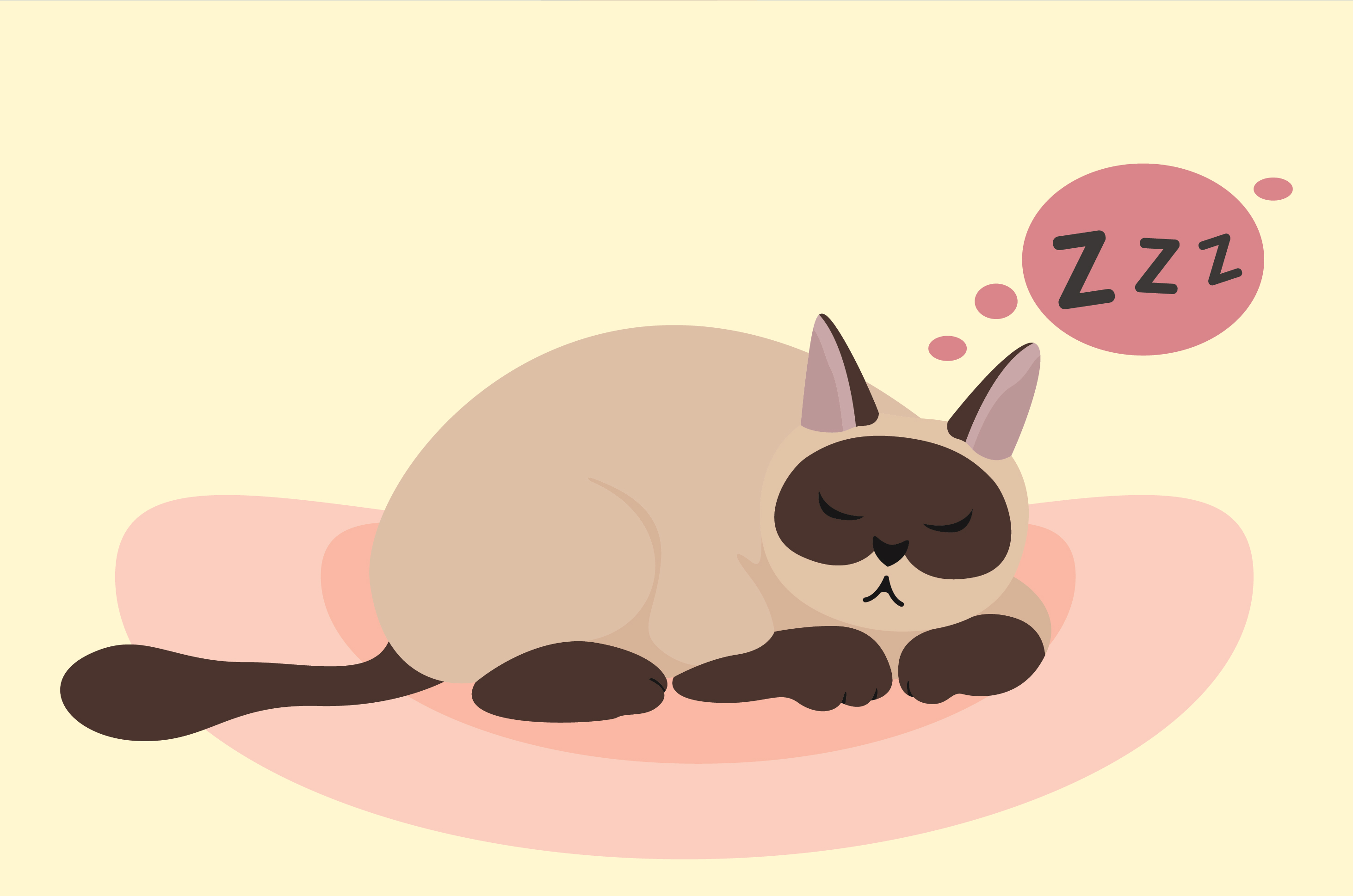Tudjon 3 okot, amiért a macskák gyakran alszanak