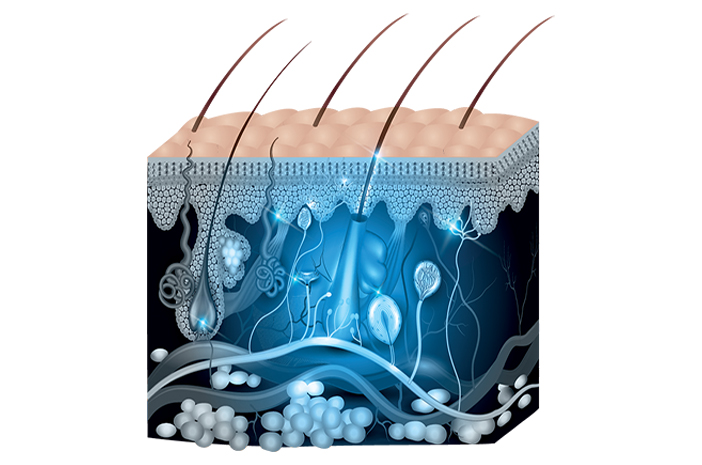 Знайте функции и способы ухода за эпидермальными тканями кожи