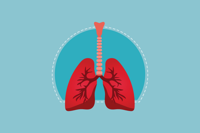 인간의 호흡에 대한 횡격막 근육의 영향 인식