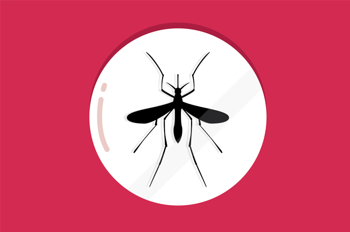 Orsakas av myggor, detta är skillnaden mellan malaria och dengue