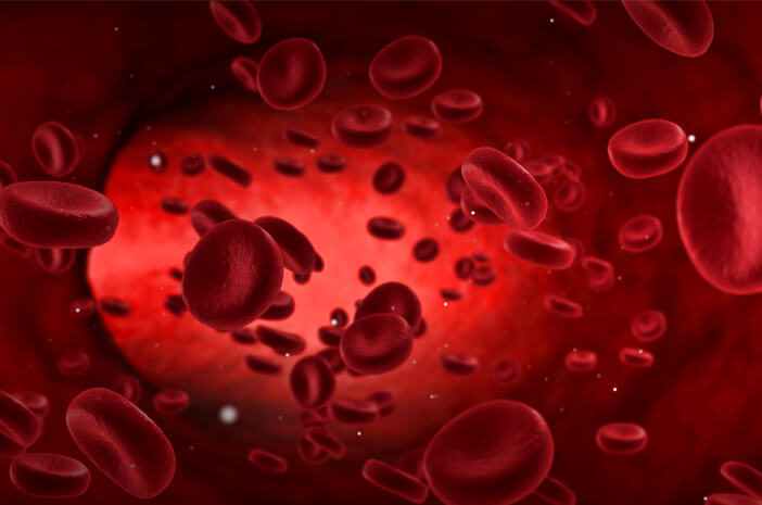 4 Arten von Blutkrankheiten, die rote Blutkörperchen beeinflussen