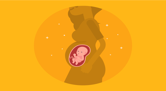 Lernen Sie den Schlafzyklus des Babys von der Gebärmutter bis zur Geburt kennen
