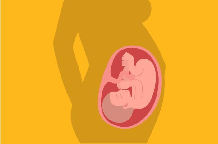 Dob razvoja fetusa 35 tjedana