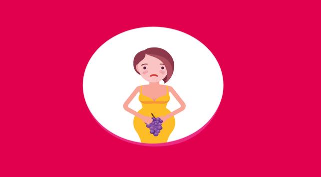 임신한 포도의 4가지 특징