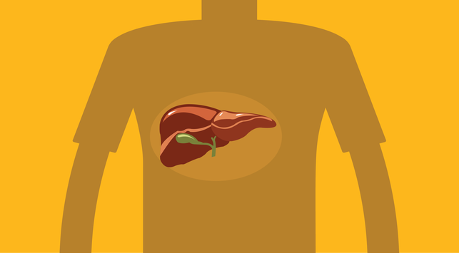Prepoznajte 10 funkcija jetre za zdravlje tijela