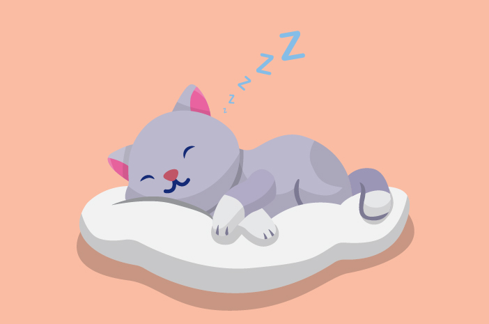 Mačka koja spava, hrče, čuvajte se respiratornih poremećaja