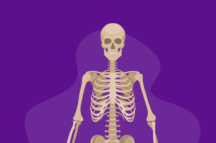 Razumijevanje funkcija i dijelova kostiju lubanje