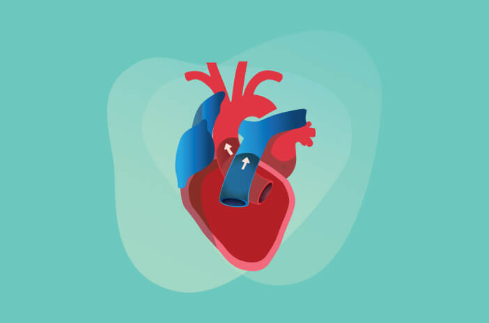 Kunnen mensen met een hartklepaandoening volledig herstellen?