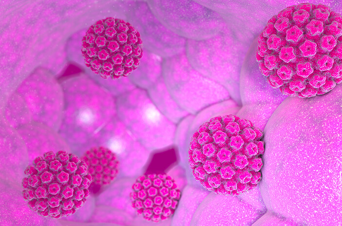 Ezek a HPV vírus által okozott betegségek
