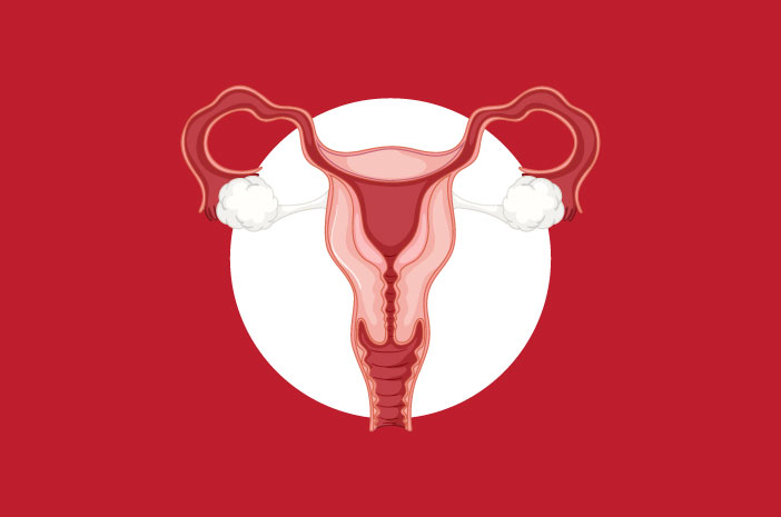 Koja je razlika između ciste jajnika i endometrioze?