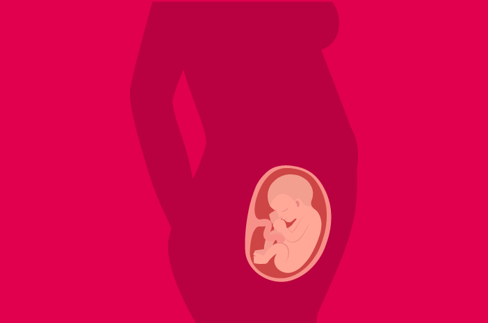 22 tjedna razvoja fetusa