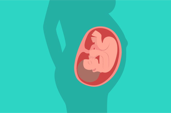 Dob razvoja fetusa 38 tjedana