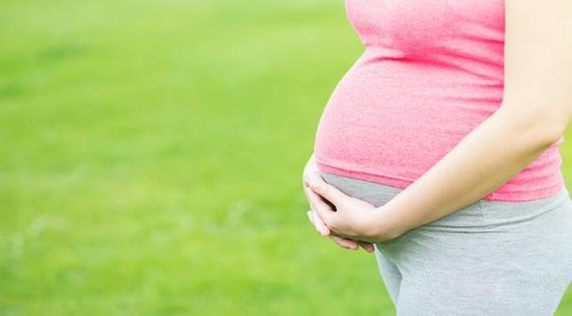임신 2개월 동안 태아와 산모 발달