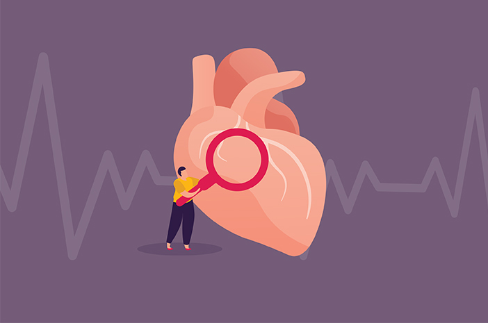 Cunoașteți anatomia inimii și funcțiile sale în organism