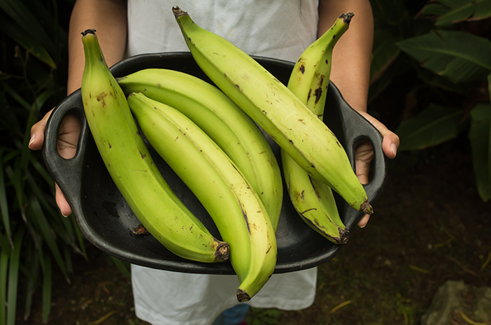 Kennen Sie den Nährstoffgehalt von Bananenhorn