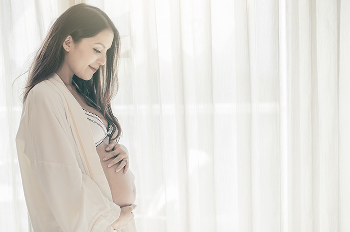 Die Verbindung zwischen Mutter und Embryo erkennen