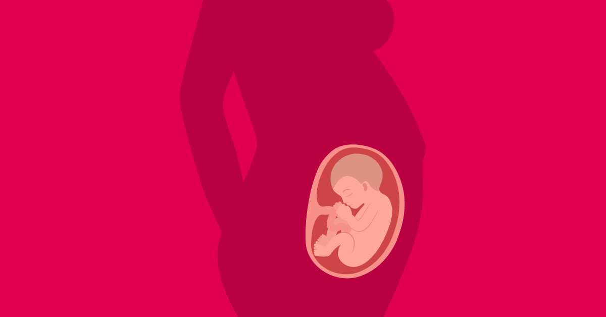 Así es como se desarrolla el feto a las 29 semanas