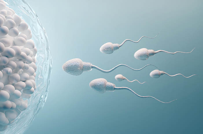 Reconocer los signos y texturas de los espermatozoides no saludables
