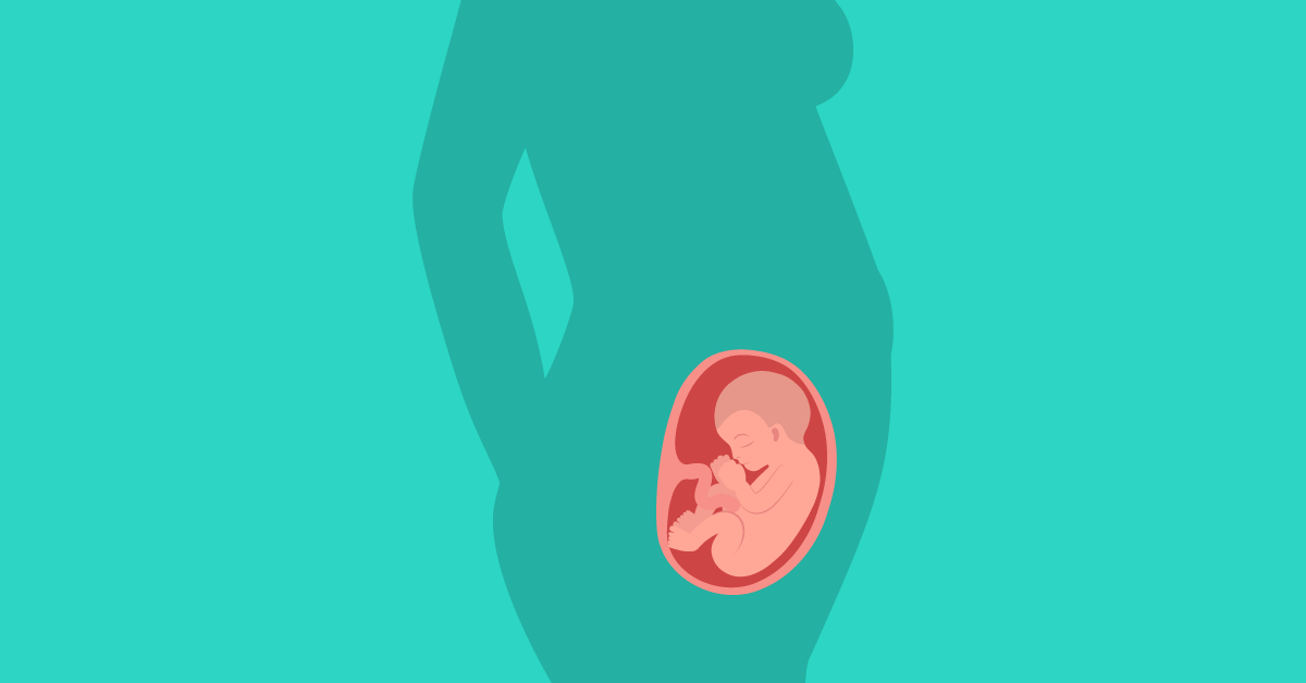 Así es como se desarrolla el feto a las 24 semanas