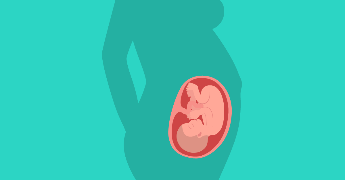 Ovako se razvija fetus u 31. tjednu