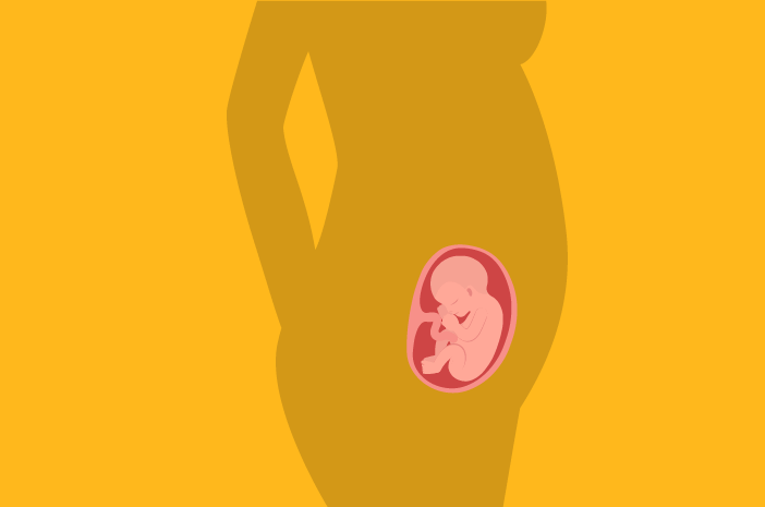 Foetale ontwikkelingsleeftijd 21 weken