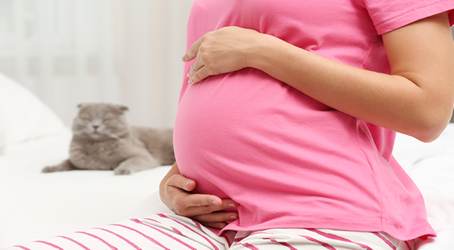 6 orsaker till magsmärtor när du är gravid ung
