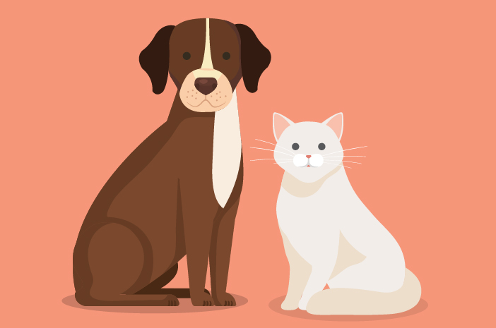 Dowiedz się o wirusie Parvo, który może wpływać na psy i koty